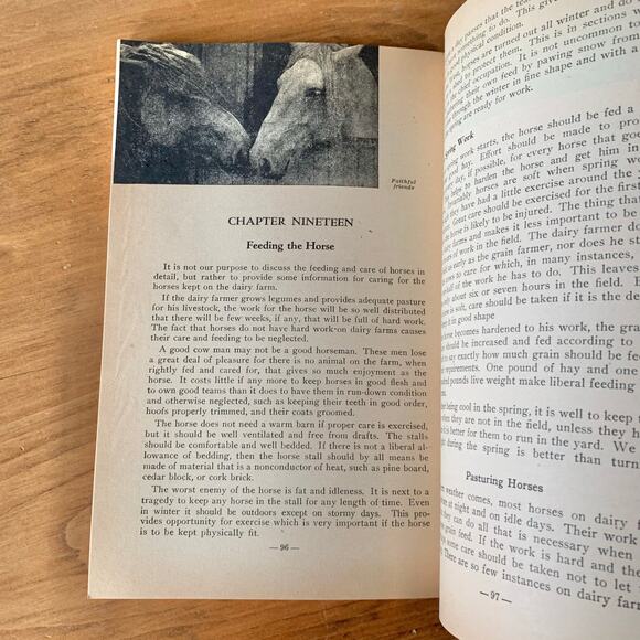 Hoard's Dairyman Feed Guide How to Treat Common Ailments Paperback Vintage - Picture 14 of 16